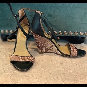 EUC Ann taylor wedges